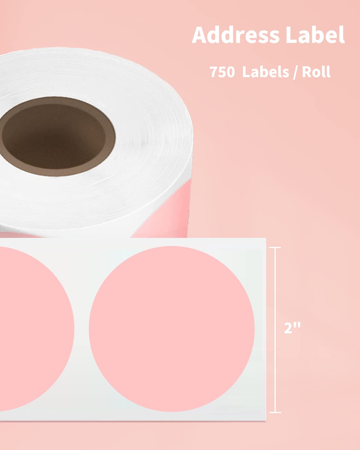 Phomemo PM241 ملصق ملصق طابعة  - مراجعة Round Sticker Thermal Labels Colored وسعره